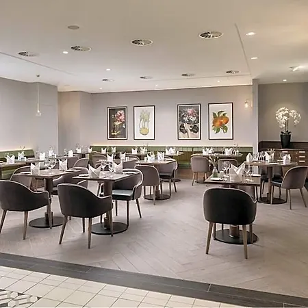 Hilton