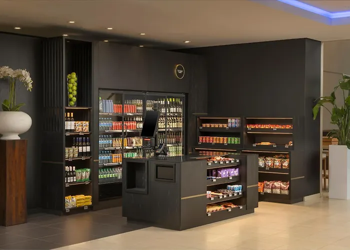 酒店 希尔顿杜塞尔多夫酒店 5*