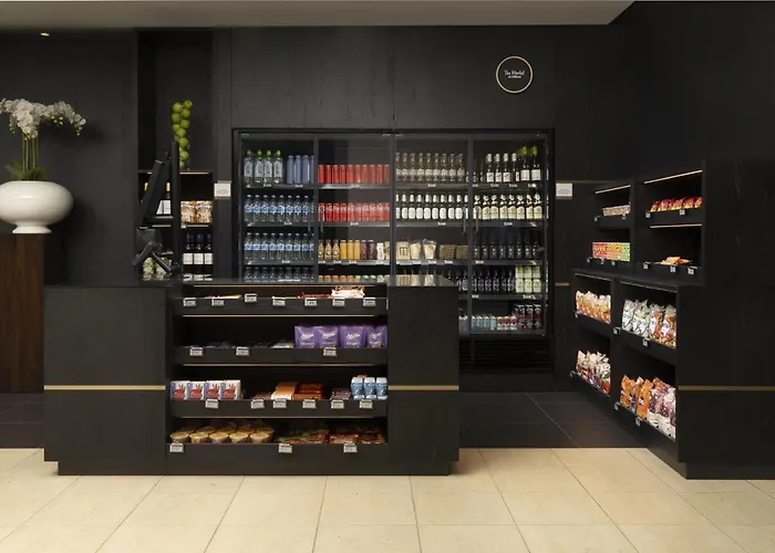 酒店 希尔顿杜塞尔多夫酒店 5*